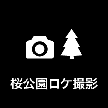 桜公園ロケ撮影